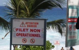 Attaque de Requin à Boucan Canot le samedi 27 août 2016