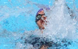 25ème meeting de natation de l\'océan Indien
