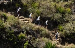 Grand Raid 2006