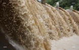 La rivière d'abord est en crue le 25 janvier 2020
