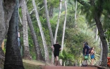 Piton Grand Anse