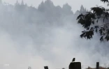 Feu du Maïdo