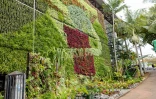 Florilèges 2026 : un bilan positif sous le signe de la convivialité, des artistes péi et de la réussite populaire