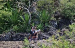 Grand raid