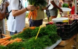 Marchés producteurs 
