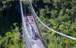 chantier pont suspendu rivière de l'est