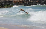 skimboard 