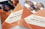 Addictions : l'ARS, la préfecture et le rectorat s'unissent pour sensibiliser les plus jeunes