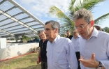 Fillon Réunion
