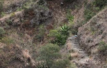 Grand Raid 2022