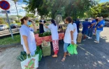 Saint-Pierre : un marché forain dédié au personnel de santé