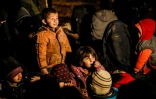 Des enfants évacués de la dernière poche tenue par l'Etat islamique (EI) à Baghouz (est de la Syrie), le 25 février 2019