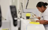  chikungunya analyse sang 