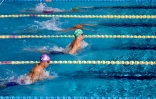 Natation comité régional Championnat hiver