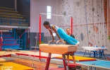 Le Port : cap sur les Championnats de France pour les gymnastes portoises