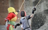 canne de combat 2016