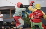 canne de combat 2016