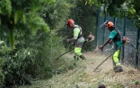 emploi PEC LAV 