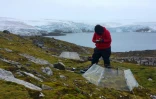 Marisol Pizarro, docteure en biotechnologie de l'Université de Santiago du Chili, étudie les réactions des plantes aux variations de températures, le 2 février 2018 sur l'île du Roi-George, en Antarctique