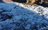 givre à la plaine des sables