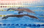 meeting natation 2017