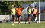 AS excelsior 