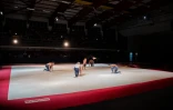 Le gala de gymnastique du Port fait le show