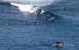 Centre de sécurité requins