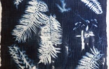expo le songe bleu 