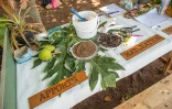 Conseil départemental