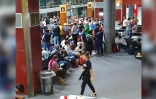 Sans avion depuis dimanche, la galère pour des centaines de passagers de French Bee [?]