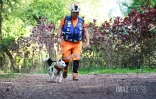Chien chercher de fuites d'eau