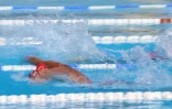 Natation 
