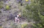 Grand raid