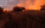 feu à Bois Blanc