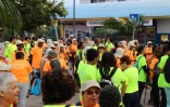 Marche des Camélias