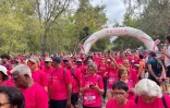 Odysséa : la vague rose déferle dans la forêt de l'Etang-Salé contre le cancer du sein
