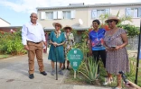 permis de planter à saint-denis 
