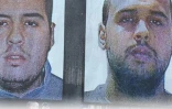 Terroristes