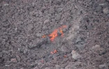 Volcan
