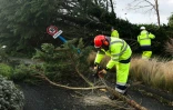 Des employés municipaux déblayent les routes après le passage de la tempête Ciaran à l'Ile-Tudy, dans le Finistère, le 2 novembre 2023
