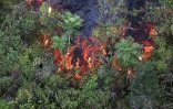 volcan, août 2019, quatrième éruption, 14 août 2019, Piton de la Fournaise