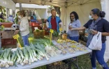 Le Département organise un marché Péi au Jardin de l'Etat