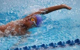 natation 