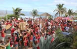 Manifestation contre la crise requins à Saint-Leu