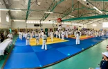 Plus de 160 karatékas réunis pour le passage départemental de grades de la KWF France Réunion