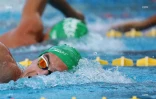 meeting natation 2017