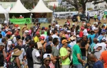 Grand raid 2012