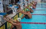 Natation