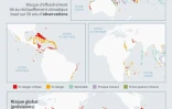 Les récifs coralliens menacés d'extinction